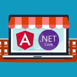 Udemy - Learn to build an e-commerce app with .Net Core and Angular