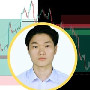 Udemy - The complete trading course Key Level and Market structure