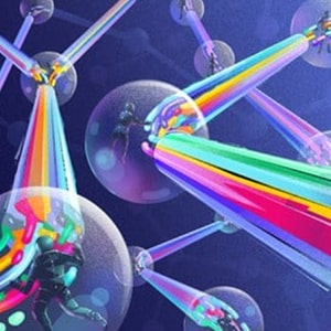 Udemy - The Git & Github Bootcamp