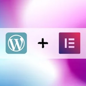 Udemy - Wordpress & Elementor Mastery 2025 - Learn To Build Websites