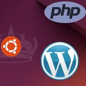 Udemy - The Perfect Nginx Server - Ubuntu (24.04) Edition