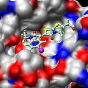 Udemy - Bioinformatics; Learn Docking & Mol Dynamics Simulation