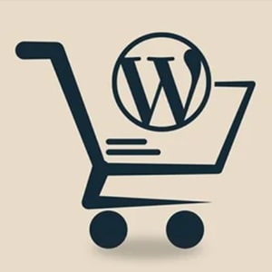 Udemy - Build eCommerce websites with WordPress & WooCommerce